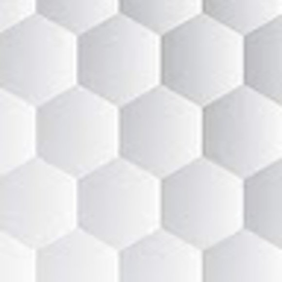 Meet your Posher, Lacey - Picture 1 of 1